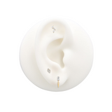 24kt Gold PVD Titanium Internally Threaded Trio Marquise Attachment