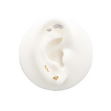 24kt Gold PVD Titanium Internally Threaded Marquise Attachment