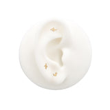 14kt Gold Threadless - Shark