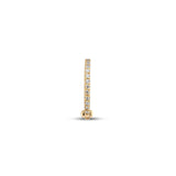 14kt Gold Earring - Inu