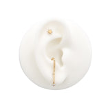 14kt Gold Threadless - Ezra