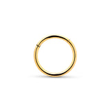 24kt Gold PVD Titanium Hinged Segment Ring