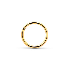 24kt Gold PVD Titanium Hinged Segment Ring